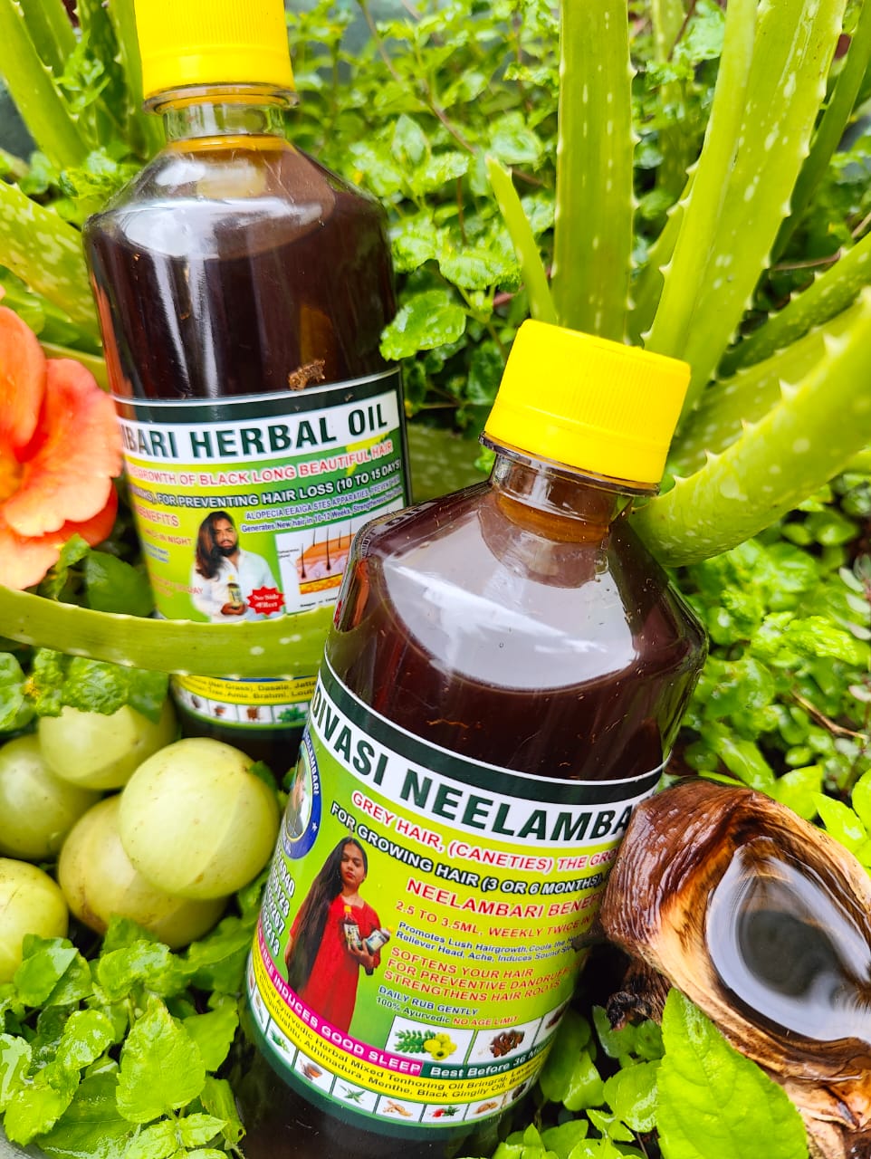 Neelambari Adivasi Herbal Hair Oil